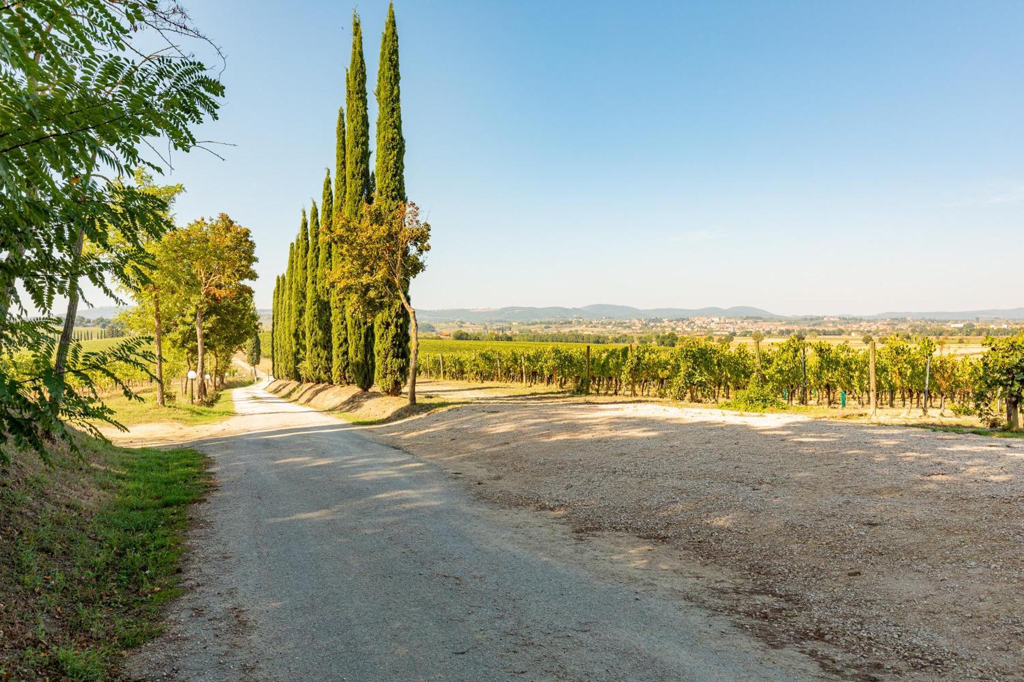 Appartamento Nobile Montepulciano Stazione Εξωτερικό φωτογραφία